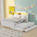 Whisen Modern Design Twin Size Upholstered Daybed with Trundle