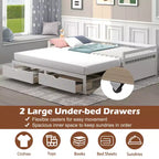 Costway Divano Letto Trasformabile da Singolo a Matrimoniale con 2 Cassetti, Struttura in Legno, per Camera da Letto e Soggiorno, Bianco/Ciliegio