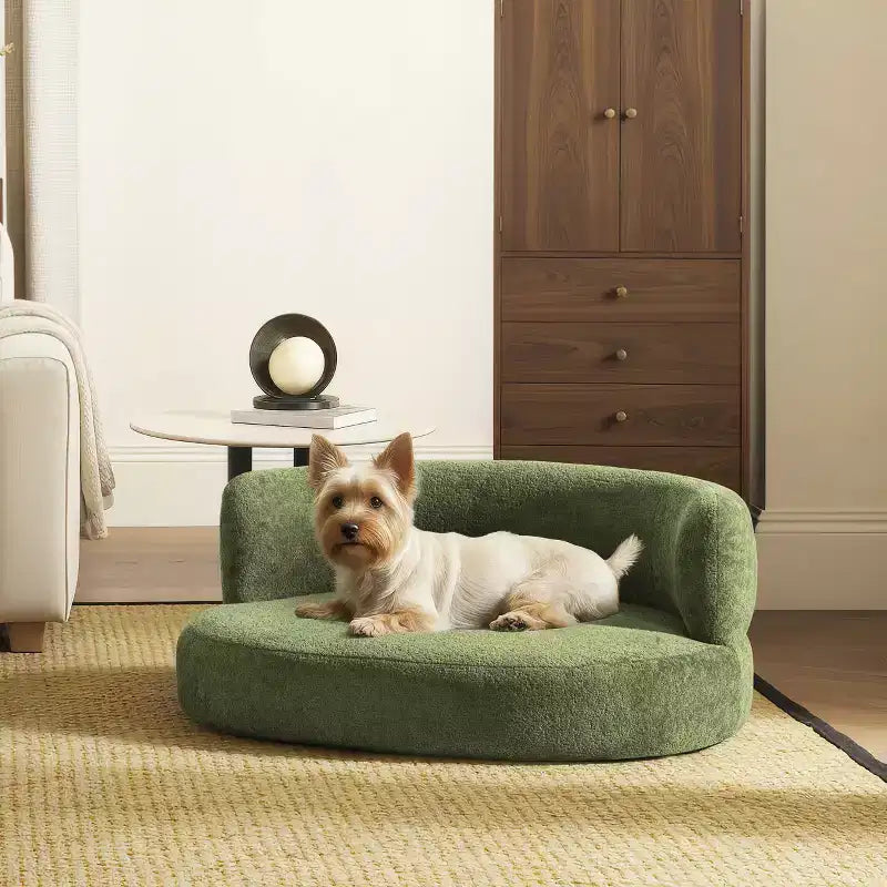 Jennifer Taylor Home Shep Divanetto curvo per cani 36, media, Teddy in pile verde muschio