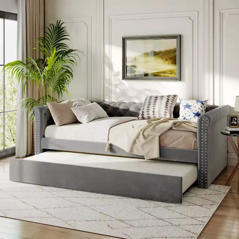 Christopher Knight Home Divano Letto Imbottito con Bottoni Capitonnè in Velluto con Letto Estraibile