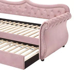Acme Furniture Letto Adkins in Velluto Rosa Una Piazza e Mezza/Matrimoniale