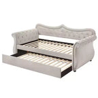 Acme Furniture Letto Adkins una Piazza e Mezza in Velluto Beige