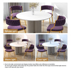Sedia da pranzo in velluto grigio / viola / nero / blu navy / avorio / verde scuro, set da 4