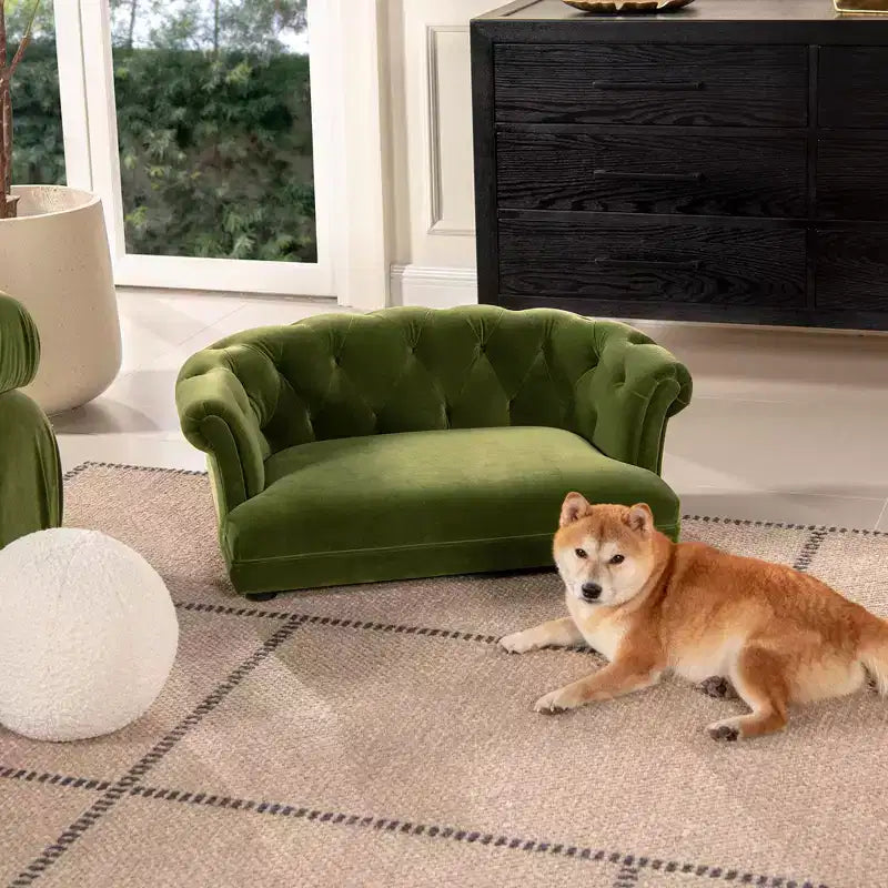 Jennifer Taylor Home Kiki Divano Letto Chesterfield per Cani da 36,5", Medio